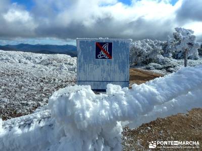 Acebos Montes Carpetanos; viajes agosto; rutas senderismo madrid